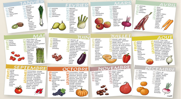 Calendrier des fruits et légumes de saison