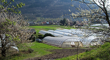 Cabas des Cimes, qui sommes-nous ?